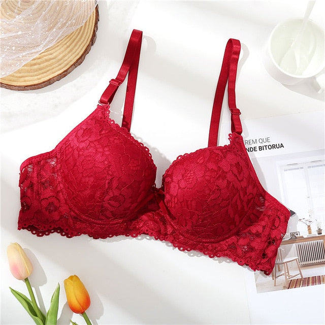 Ziggy Lace Bra Beauty Back Push Up Bralette Brassiere 2020 Sexy Underwire Bra For Women Underwear Solid Color Female Lingerie