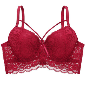 New Lace Fly Bra Female Brassiere Lingerie Plus Size C D Cup Push Up Seamless Comfortable Full Coverage Unlined Bra 2020